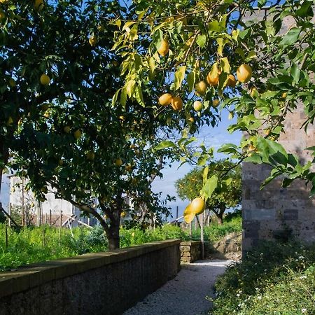 Domus Maresca Villa Sant'Agnello Dış mekan fotoğraf